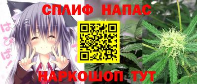 apvp Краснодар