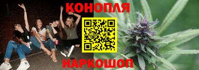 apvp Краснодар