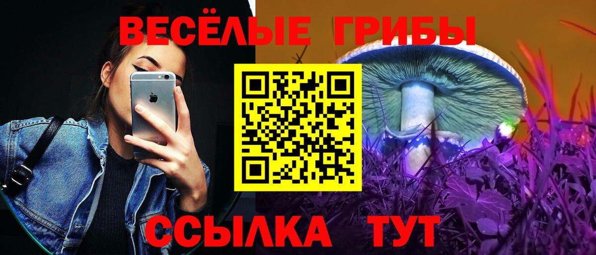 Псилоцибиновые грибы мицелий Ипатово