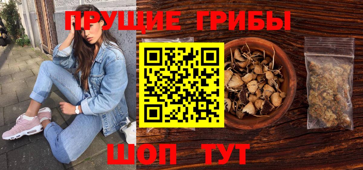 Ипатово  Псилоцибиновые грибы Psilocybine cubensis  Вход с VPN  даркнет сайт  Галлюциногенные грибы Cubensis 